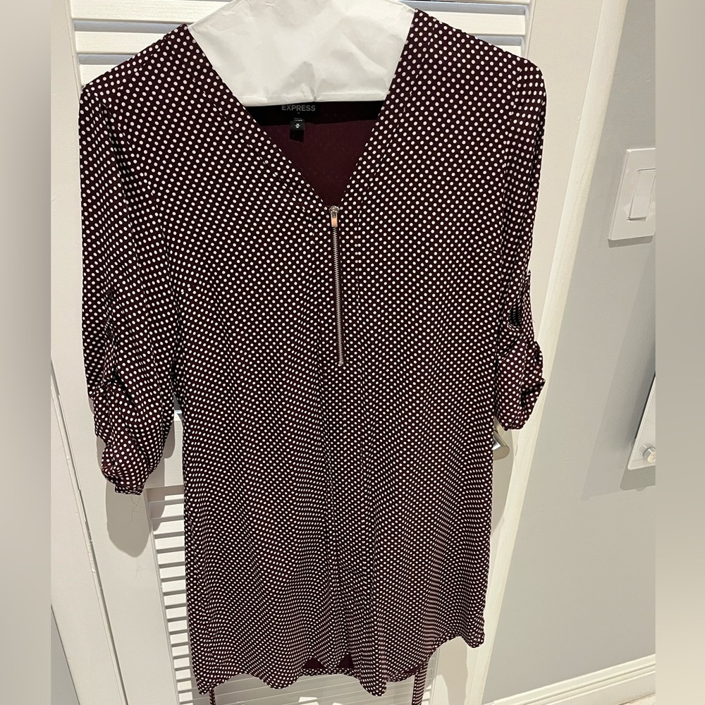 Express Polka Dot Dress with Zipper